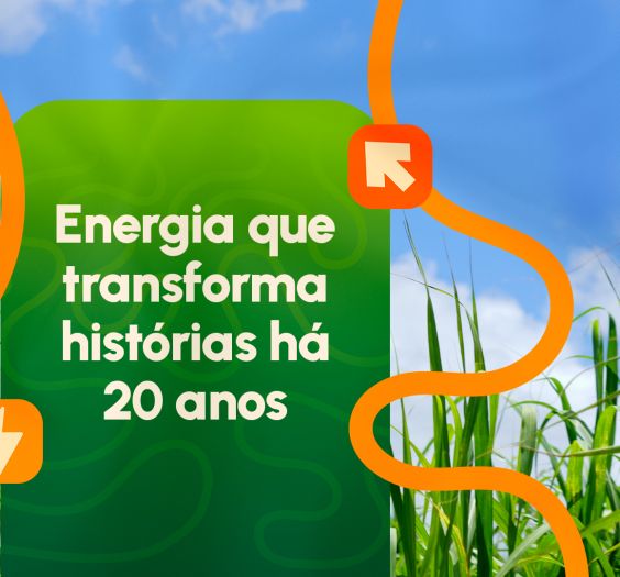 20 ANOS CERRADÃO