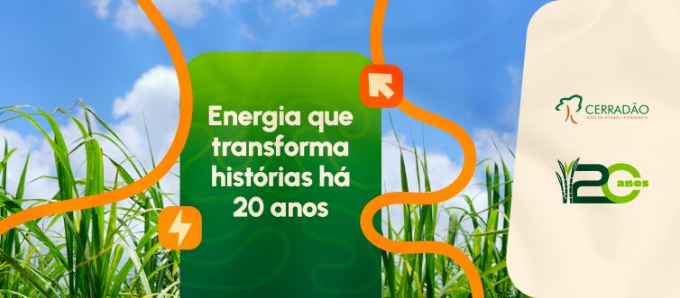 20 ANOS CERRADÃO
